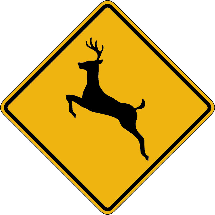 Deer crossing